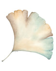 Ginko 2501